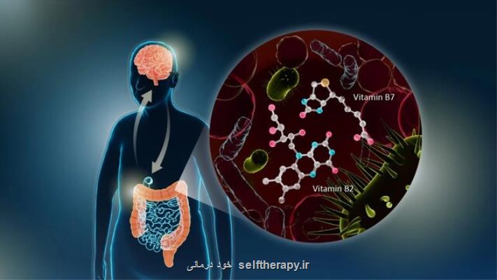 موثرترین ویتامین در درمان پارکینسون